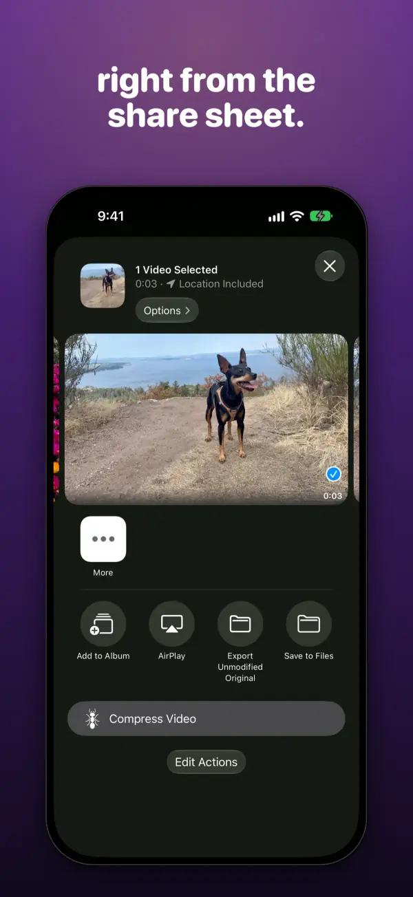 the iOS share sheet for a video, with a Compress Video action in the list.